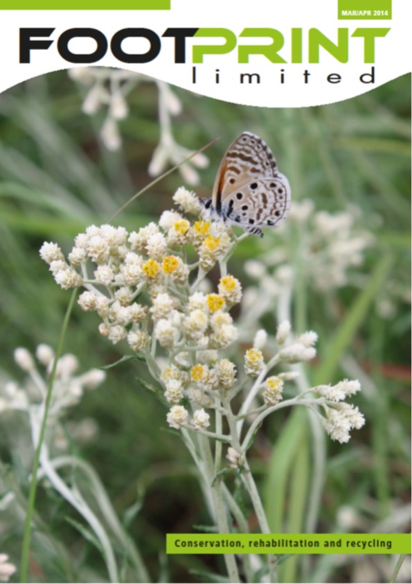 Restoration Of A Grassland At Random Harvest Indigenous Plant Nursery Random Harvest News